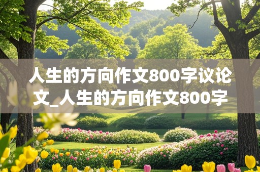 人生的方向作文800字议论文_人生的方向作文800字议论文高中