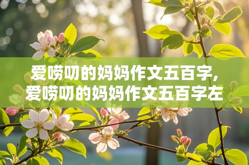 爱唠叨的妈妈作文五百字,爱唠叨的妈妈作文五百字左右