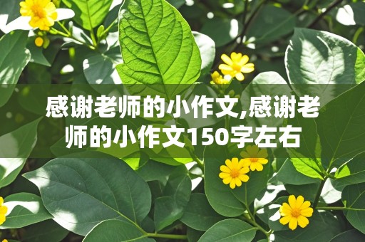 感谢老师的小作文,感谢老师的小作文150字左右