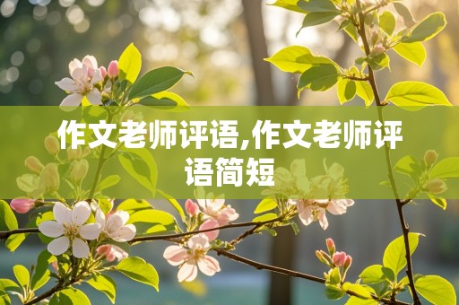 作文老师评语,作文老师评语简短