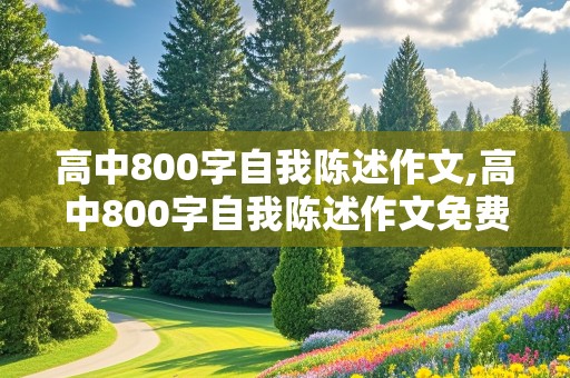 高中800字自我陈述作文,高中800字自我陈述作文免费