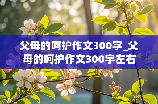 父母的呵护作文300字_父母的呵护作文300字左右