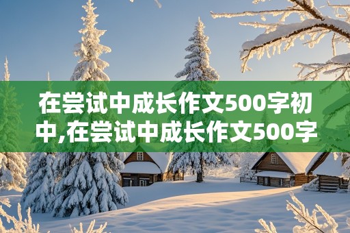 在尝试中成长作文500字初中,在尝试中成长作文500字初中记叙文