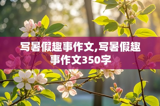 写暑假趣事作文,写暑假趣事作文350字