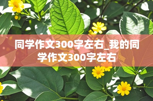 同学作文300字左右_我的同学作文300字左右