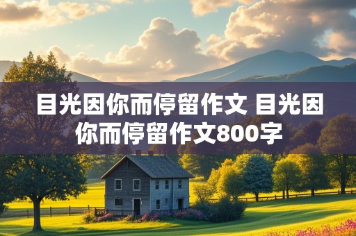 目光因你而停留作文 目光因你而停留作文800字