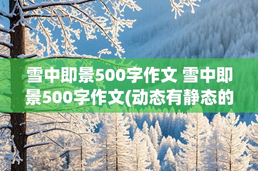 雪中即景500字作文 雪中即景500字作文(动态有静态的)