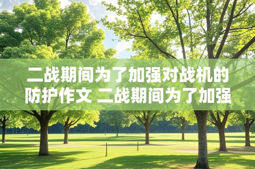 二战期间为了加强对战机的防护作文 二战期间为了加强对战机的防护作文立意