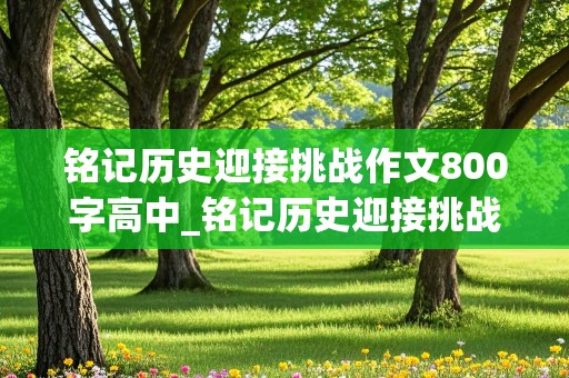 铭记历史迎接挑战作文800字高中_铭记历史迎接挑战作文800字高中议论文