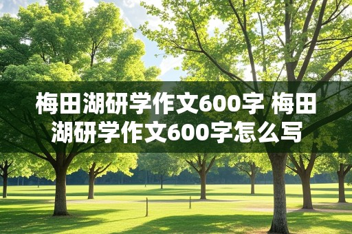 梅田湖研学作文600字 梅田湖研学作文600字怎么写