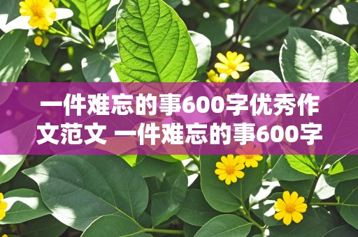 一件难忘的事600字优秀作文范文 一件难忘的事600字优秀作文范文大全