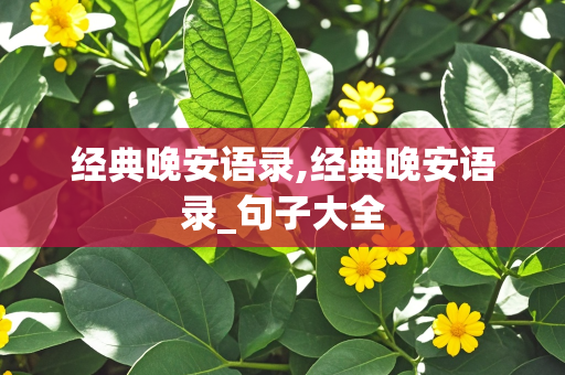 经典晚安语录,经典晚安语录_句子大全