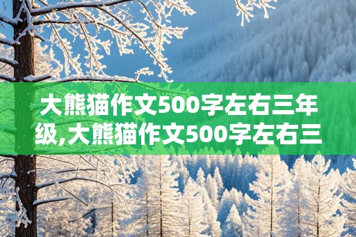 大熊猫作文500字左右三年级,大熊猫作文500字左右三年级下册