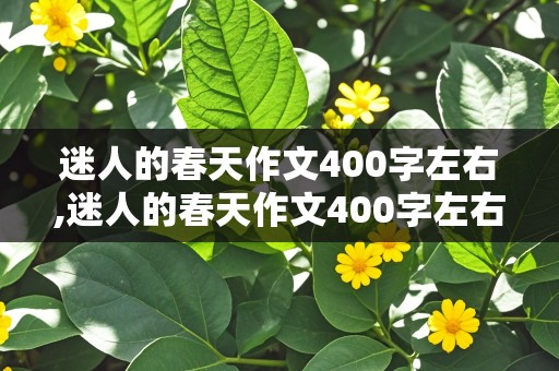 迷人的春天作文400字左右,迷人的春天作文400字左右优秀