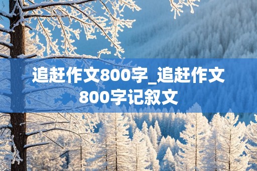 追赶作文800字_追赶作文800字记叙文