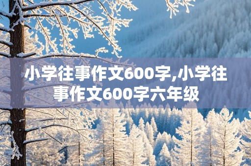 小学往事作文600字,小学往事作文600字六年级