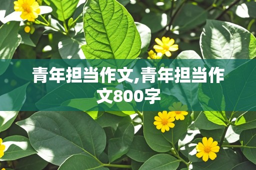 青年担当作文,青年担当作文800字