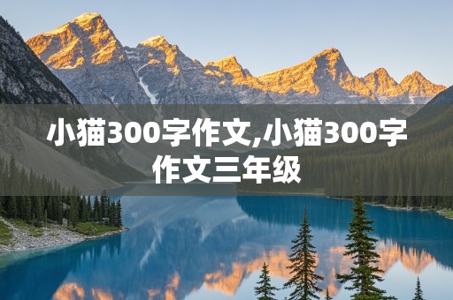 小猫300字作文,小猫300字作文三年级