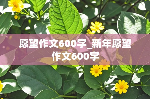 愿望作文600字_新年愿望作文600字