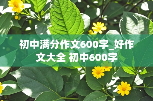 初中满分作文600字_好作文大全 初中600字