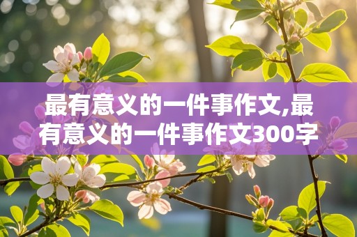 最有意义的一件事作文,最有意义的一件事作文300字