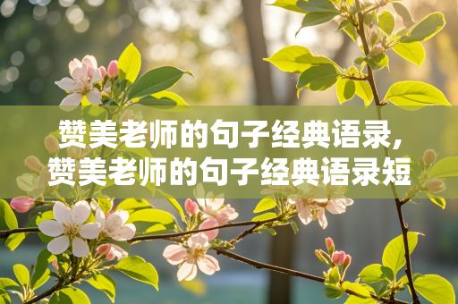 赞美老师的句子经典语录,赞美老师的句子经典语录短句