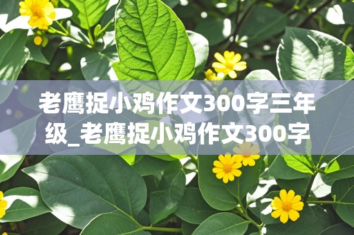 老鹰捉小鸡作文300字三年级_老鹰捉小鸡作文300字三年级上册