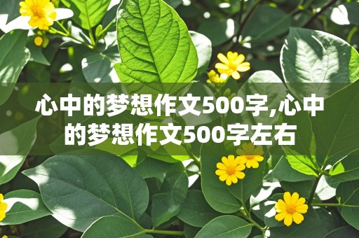 心中的梦想作文500字,心中的梦想作文500字左右