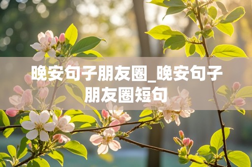 晚安句子朋友圈_晚安句子朋友圈短句