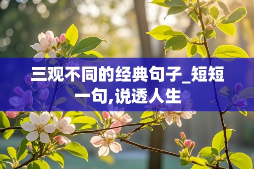 三观不同的经典句子_短短一句,说透人生