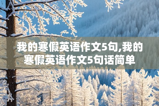 我的寒假英语作文5句,我的寒假英语作文5句话简单