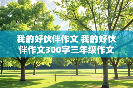 我的好伙伴作文 我的好伙伴作文300字三年级作文