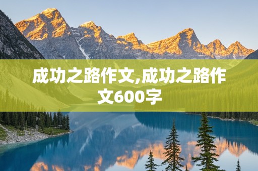 成功之路作文,成功之路作文600字