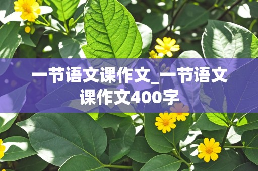 一节语文课作文_一节语文课作文400字