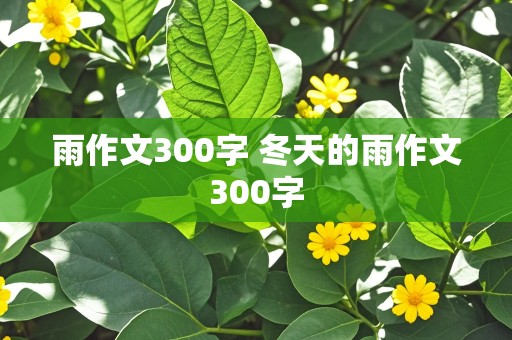 雨作文300字 冬天的雨作文300字