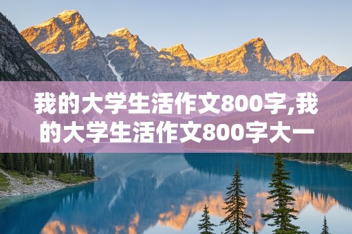 我的大学生活作文800字,我的大学生活作文800字大一