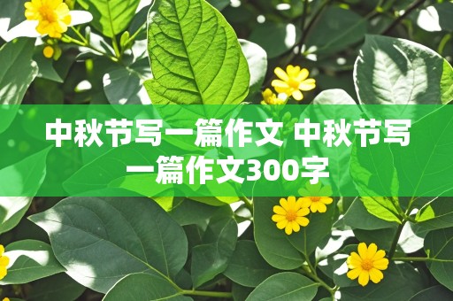 中秋节写一篇作文 中秋节写一篇作文300字