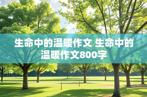 生命中的温暖作文 生命中的温暖作文800字