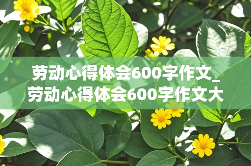 劳动心得体会600字作文_劳动心得体会600字作文大学