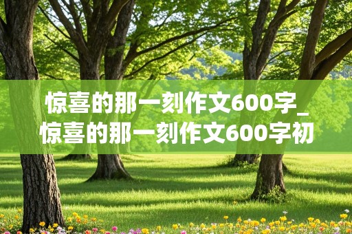 惊喜的那一刻作文600字_惊喜的那一刻作文600字初一