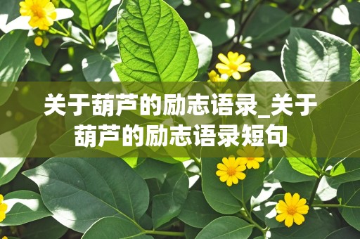 关于葫芦的励志语录_关于葫芦的励志语录短句