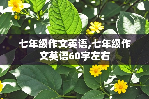 七年级作文英语,七年级作文英语60字左右