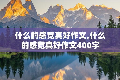 什么的感觉真好作文,什么的感觉真好作文400字