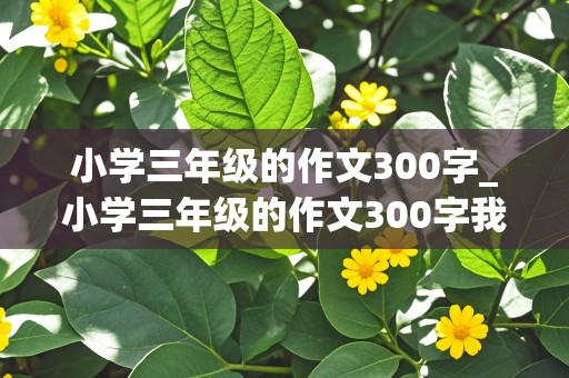 小学三年级的作文300字_小学三年级的作文300字我的姐姐