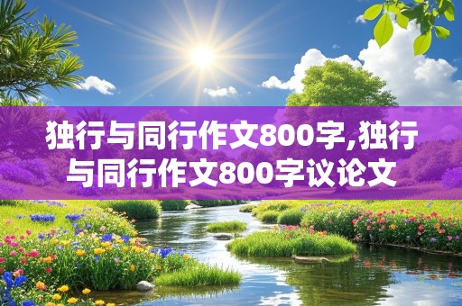 独行与同行作文800字,独行与同行作文800字议论文