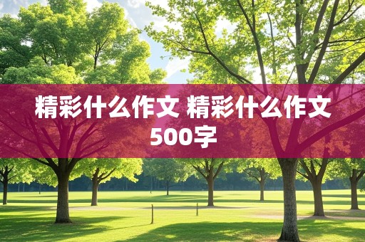 精彩什么作文 精彩什么作文500字