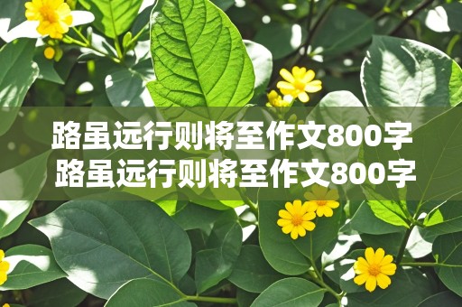 路虽远行则将至作文800字 路虽远行则将至作文800字高中