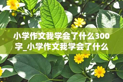 小学作文我学会了什么300字_小学作文我学会了什么300字怎么写