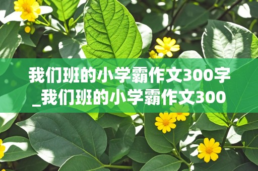 我们班的小学霸作文300字_我们班的小学霸作文300字三年级