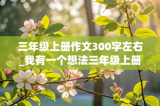 三年级上册作文300字左右_我有一个想法三年级上册作文300字左右